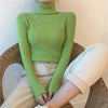 Women Classic Turtleneck Sweater