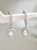 Stainless Steel Zircon Drop Earrings